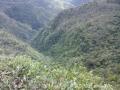 gal/Ile Maurice/_thb_SP_A0021_Black_River_Gorges.jpg